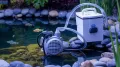 Do You Really Need a Pond Pump