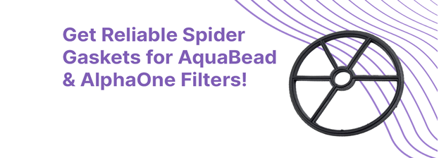 spider gasket